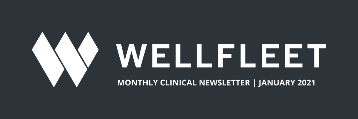 Clinical SHIP Newsletter - Header (9)